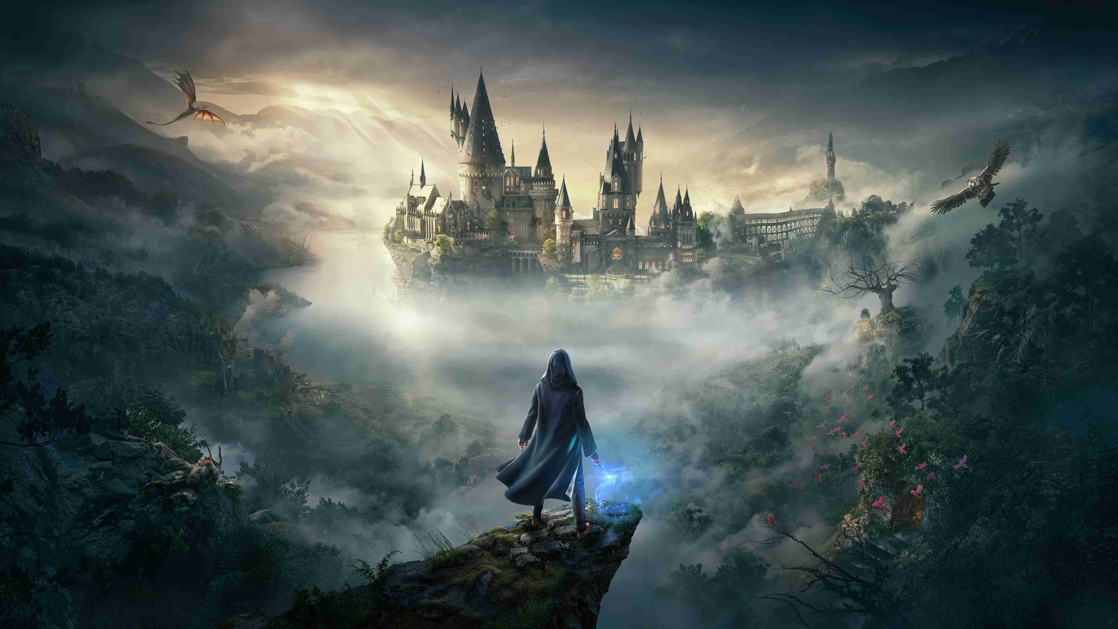 Hogwarts Legacy Steam